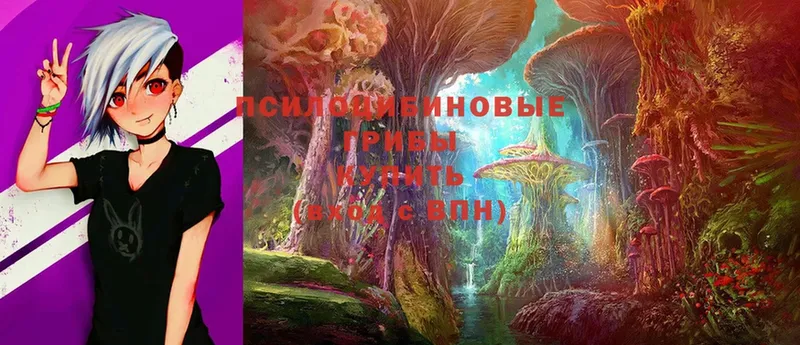 Галлюциногенные грибы Magic Shrooms  Бирюсинск 